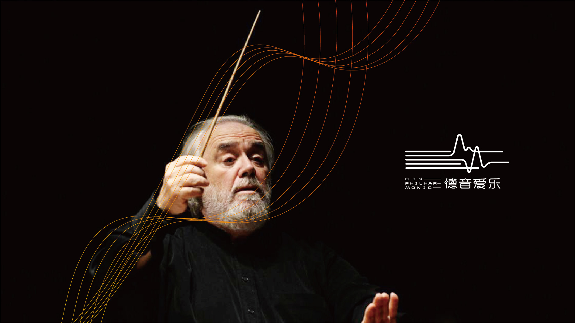 河东爱乐团品牌VI形象设计